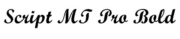 Script MT Pro Bold