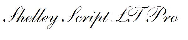 Shelley Script LT Pro