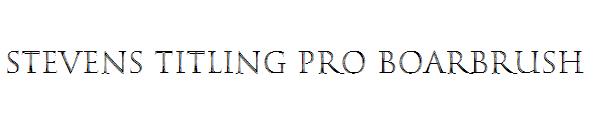 Stevens Titling Pro BoarBrush