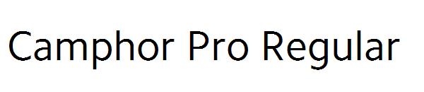 Camphor Pro Regular