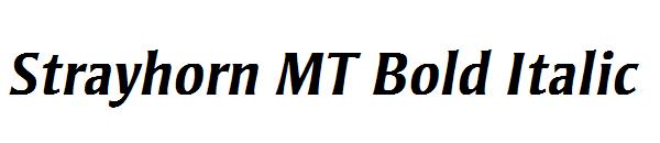 Strayhorn MT Bold Italic