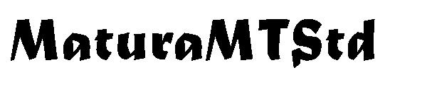 MaturaMTStd