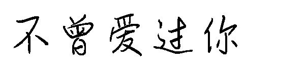 不曾爱过你
