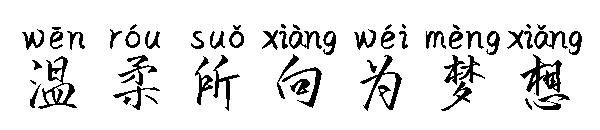 温柔所向为梦想