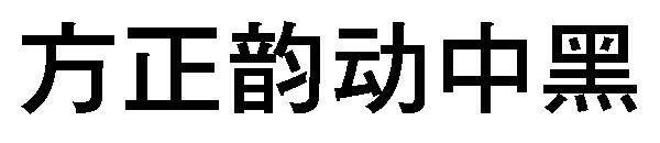 方正韵动中黑