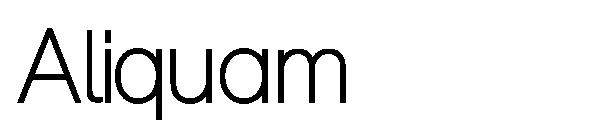 Aliquam字体