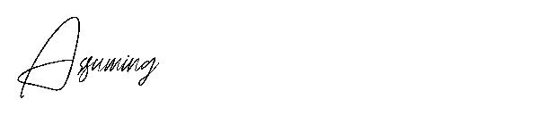 Assuming字体