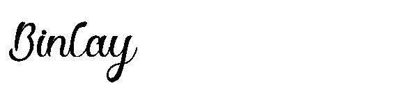 Binlay字体
