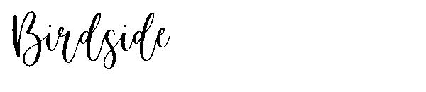 Birdside字体
