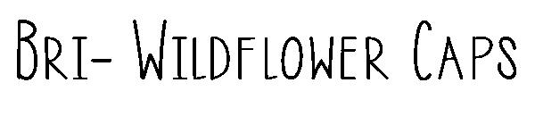 Bri- Wildflower Caps字体
