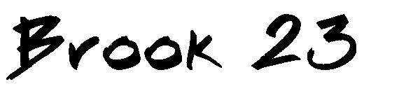 Brook 23字体