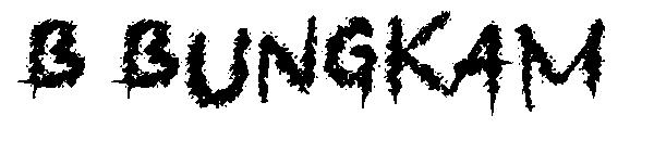 b Bungkam字体