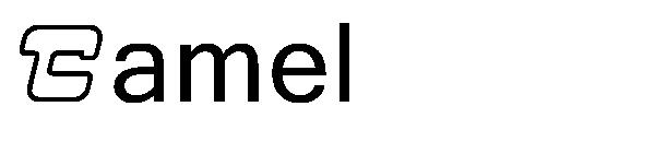 Camel字体