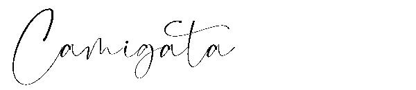 Camigata字体