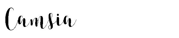 Camsia字体
