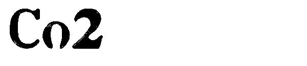 Co2字体