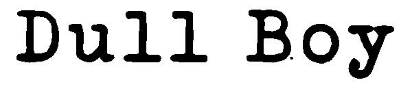 Dull Boy字体