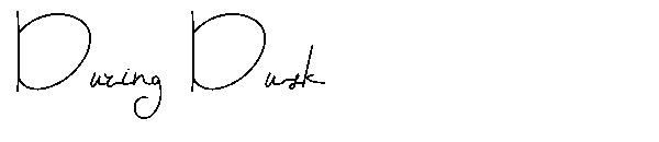 During Dusk字体