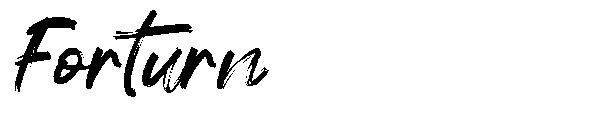 Forturn字体