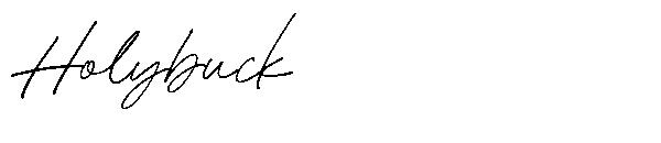 Holybuck字体