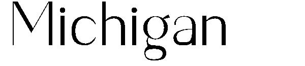 Michigan字体