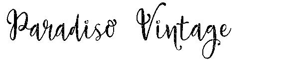 Paradiso Vintage字体