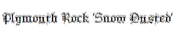 Plymouth Rock 'Snow Dusted'字体