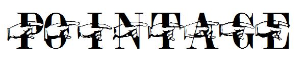Pointage字体