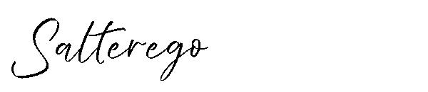 Salterego字体