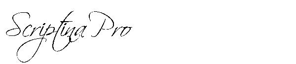 Scriptina Pro字体
