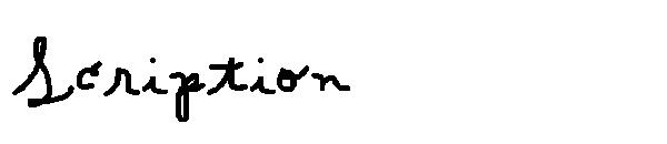 Scription字体