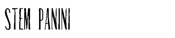 Stem Panini字体