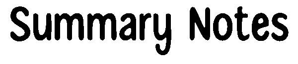 Summary Notes字体