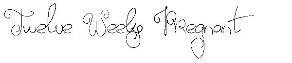 Twelve Weeks Pregnant字体