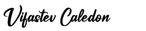 Vifastev Caledon字体
