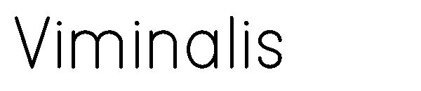 Viminalis字体