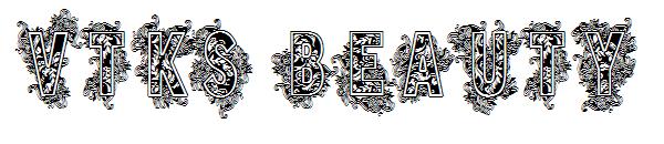 VTKS BEAUTY字体