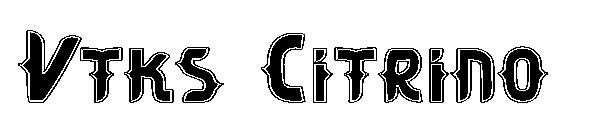 Vtks Citrino字体