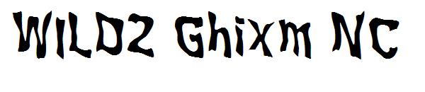 WILD2 Ghixm NC字体