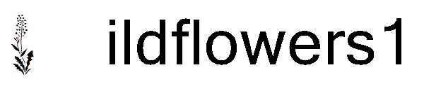 Wildflowers1字体