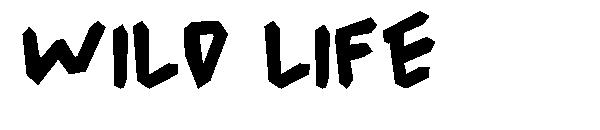 WILD LIFE字体