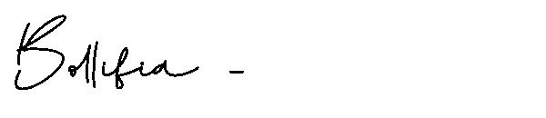 Bollifia -