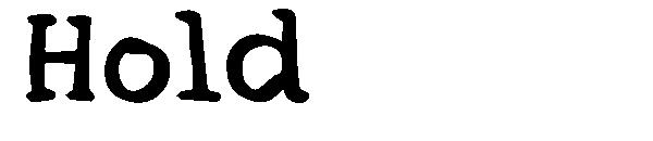 Hold字体