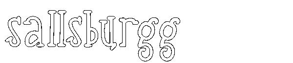 sallsburgg