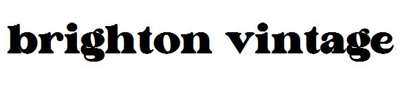 brighton vintage
