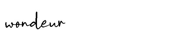 wondeur字体