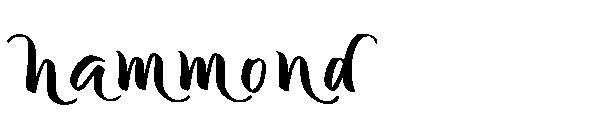 hammond字体