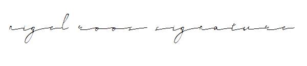 nigel roos signature字体