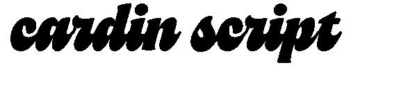 cardin script字体