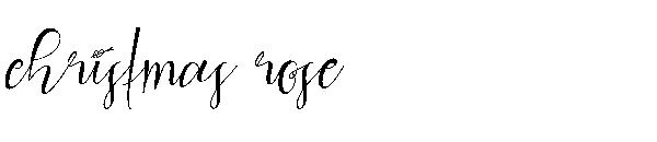 christmas rose字体